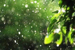 Ba Tán Đường Trên Ngọn Tình Sầu/ Lê Đại Lãng