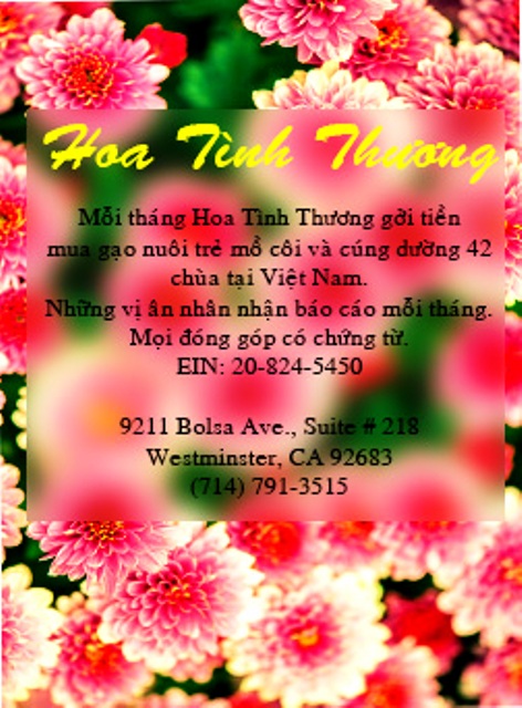 Hoa Tình Thương
