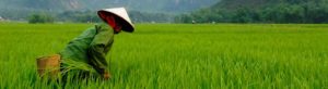 Khởi đầu và kết thúc