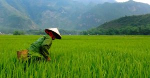 Mưa Pháp/ NS Hạnh Chiếu
