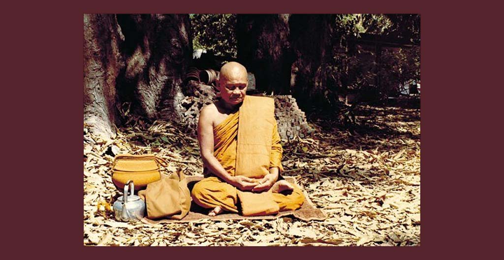 Sự Tinh Cần/ Ajahn Chah