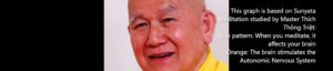 Wisdom Today channel: Body and Mind - Sự Tương Tác giữa Thân và Tâm