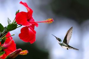 Ai Chết?/ Trí Siêu