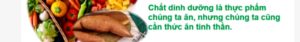Wisdom Today Channel: Thức ăn trong đạo Phật - Nutriments in Buddhism