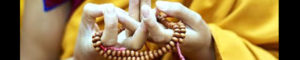 Wisdom Today Channel: The Power of Buddhist Mudras - Sức mạnh của thủ ấn Phật Giáo