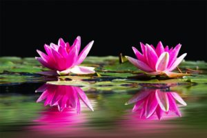 Lợi ích của người tu thiền