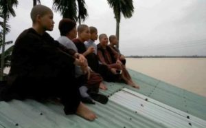 Làm thế nào đây Đức Phật ơi?