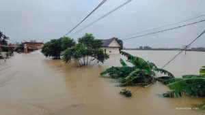 Nước Lên/ Vĩnh Hảo
