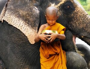 Ý nghĩa của những biểu tượng trong đạo Phật/ Tiểu Lục Thần Phong
