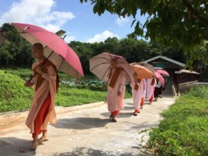 Những Bài Học Từ Thiền Viện Panditarama/ Rosie