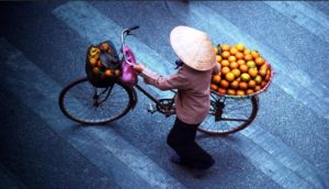 Những Trái Mãng Cầu Nơi Góc Phố/ Tâm Nguyên
