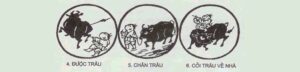 Tranh Chăn Trâu Đại Thừa và Thiền Tông