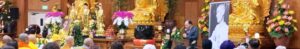 Thầy Tuệ Sỹ: Như voi giữa trận tiền