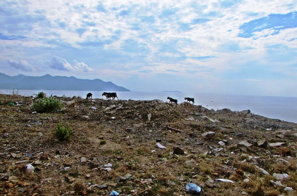 Chùm ngũ ngôn nhắc đến ‘thị phi’