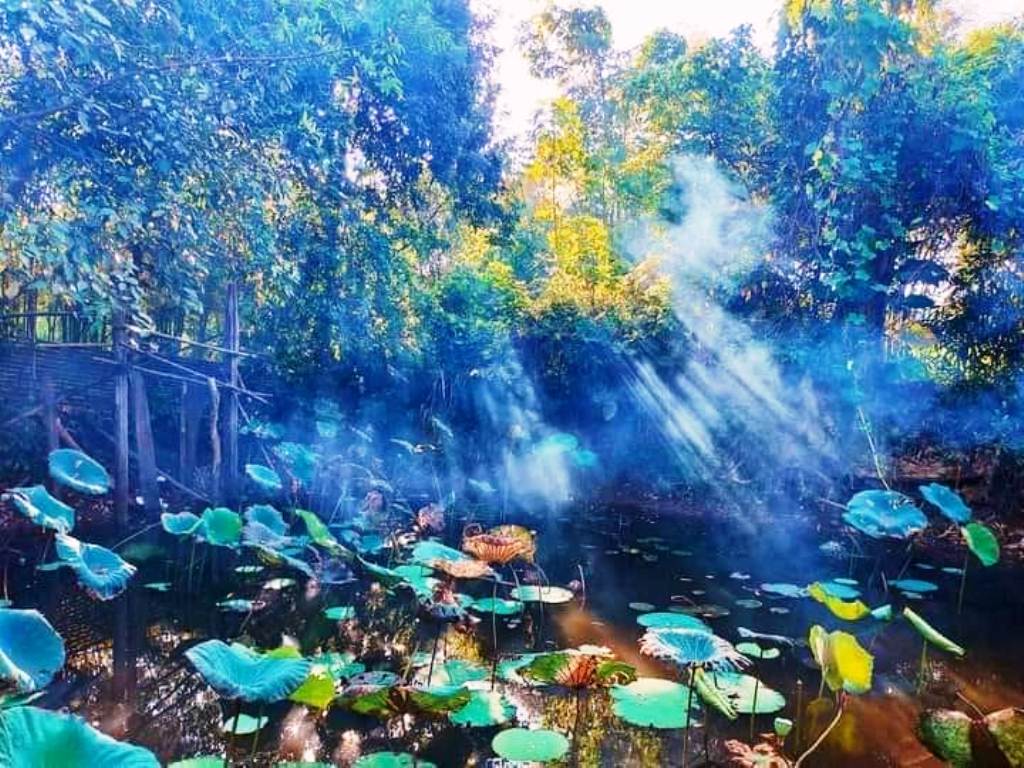 Cách đối xử với vong