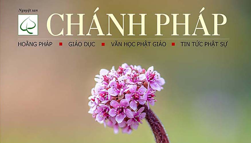 Mời đọc Nguyệt San Chánh Pháp số 151, tháng Sáu, 2024