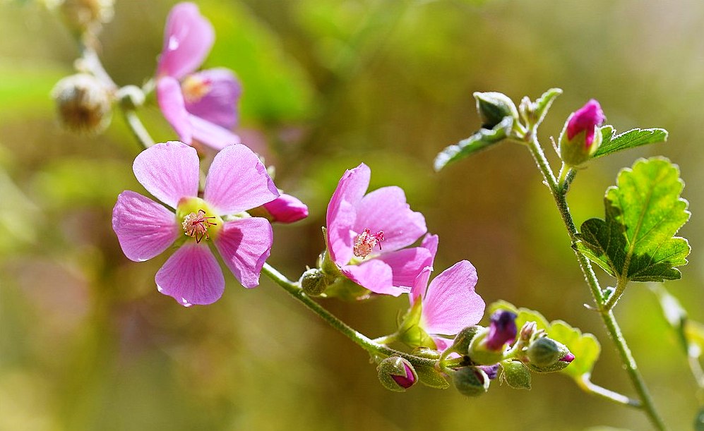 Lắt lay giữa vũ trụ