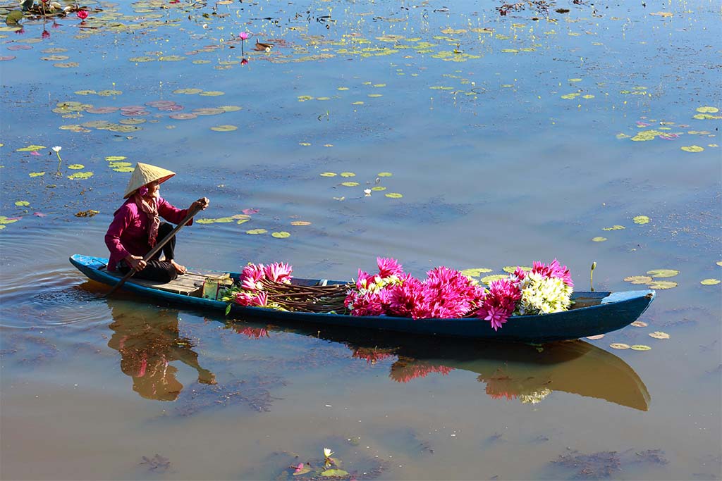 Hương Sen Quê Ngoại/ Chính Vũ