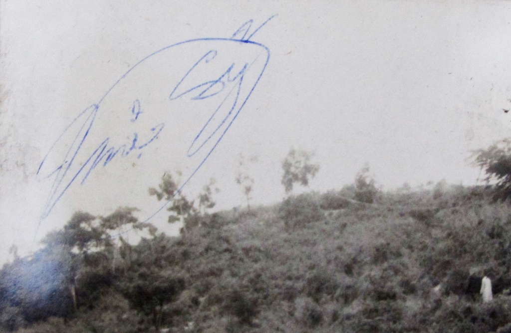 10 bài thơ tưởng niệm kính dâng bậc Thượng Nhân Siêu Xuất