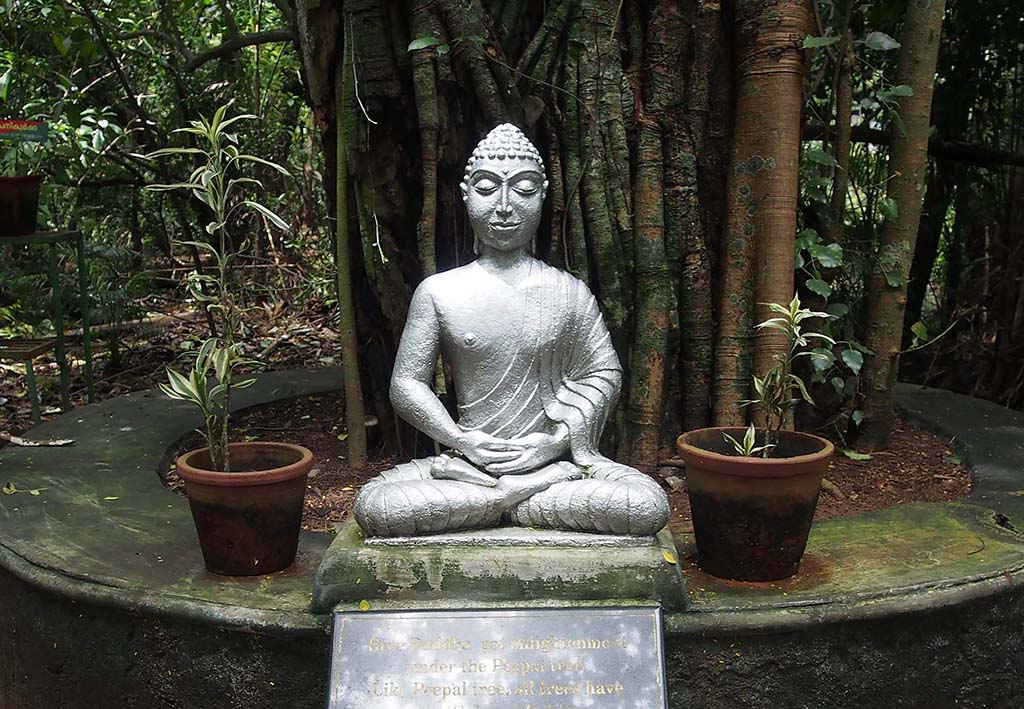 Bắt giam tượng Phật