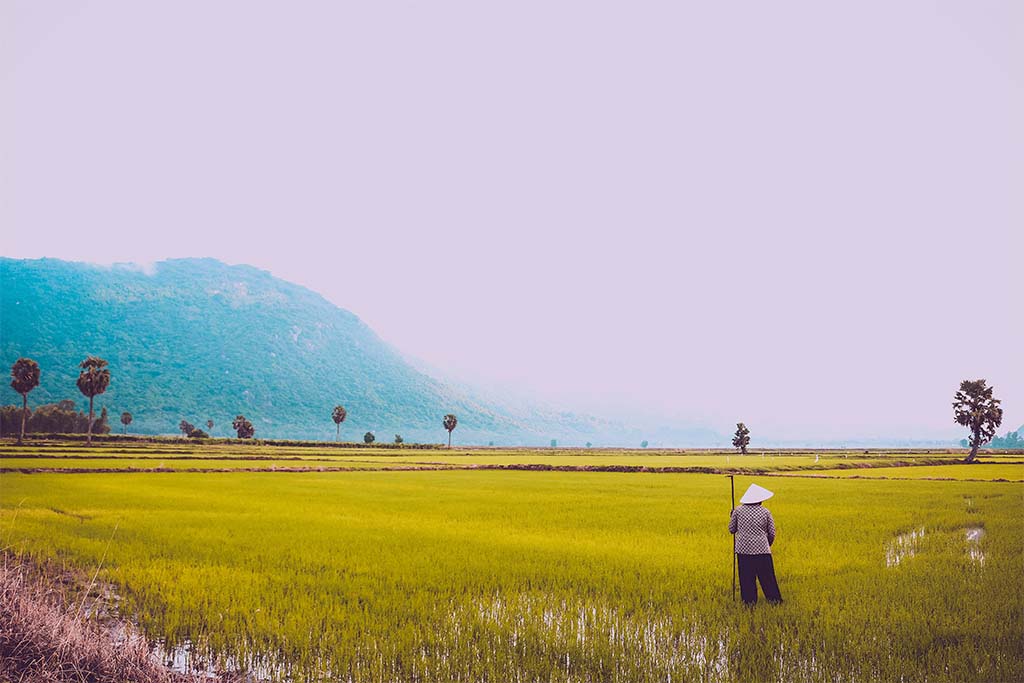 Ngày Trở Về/ TN Hạnh Lý