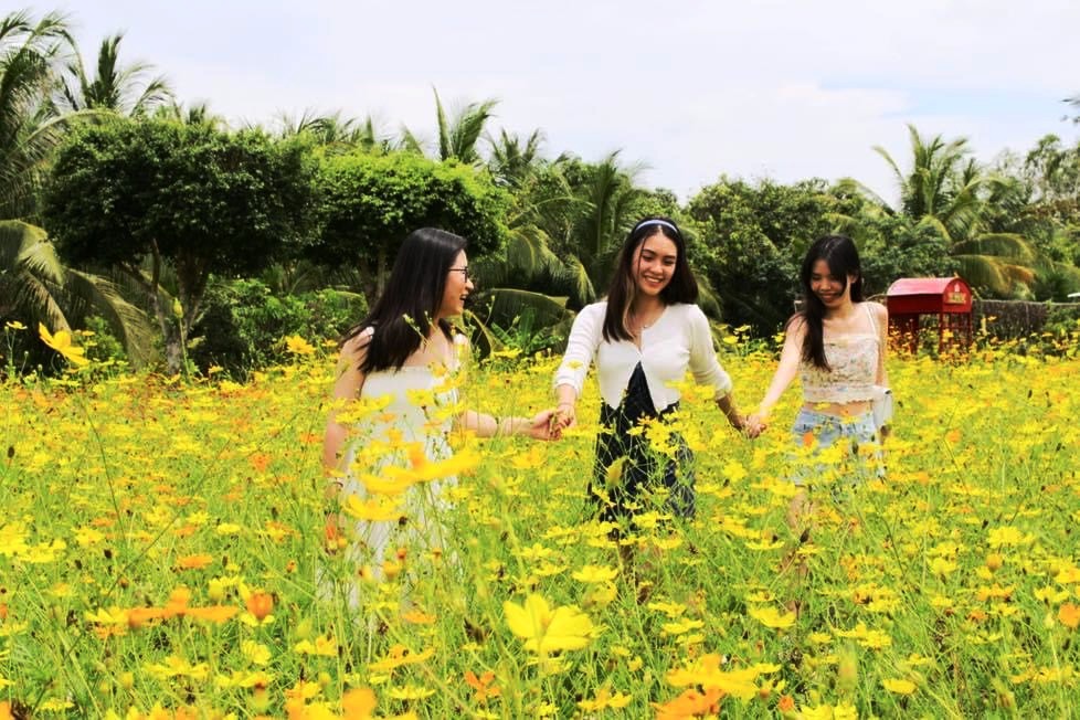 Dễ thương và đáng thương