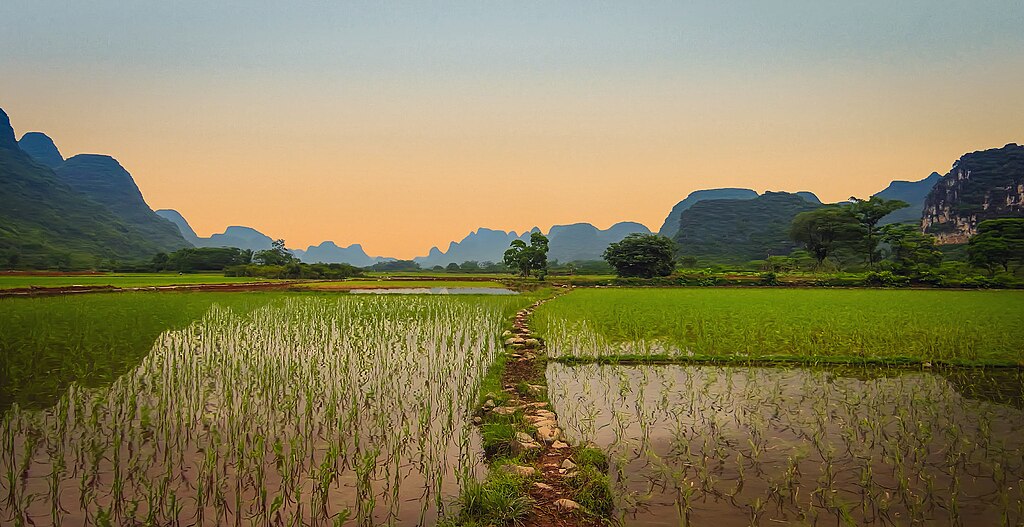 Trên quê hương tôi