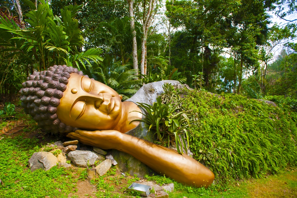 Bệnh Cũng Tu, Còn Dũng Mãnh Hơn/ Minh Vân