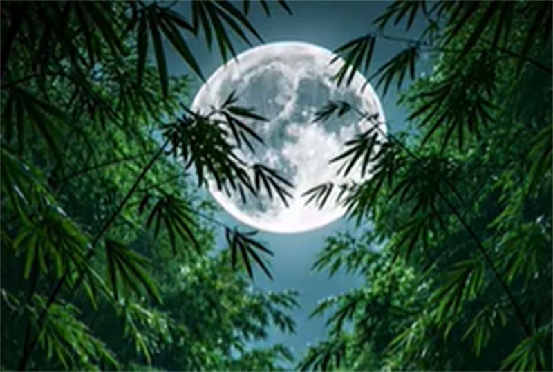 Mời nghe ‘Gieo Nhân Lành’ / Thơ Hoàng Thục Uyên – Nhạc Lê Minh Sơn