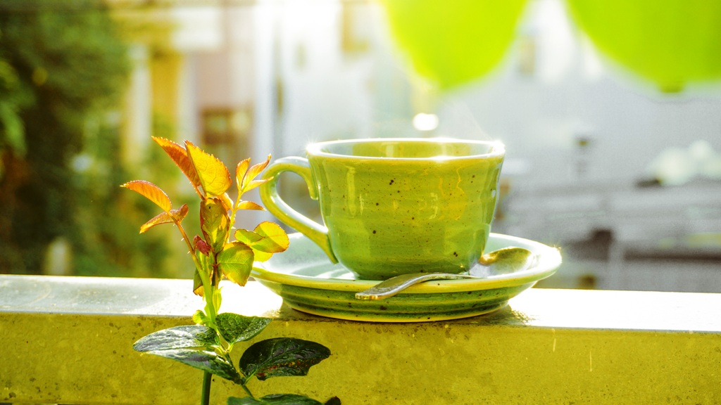 Bình Yên Trong Bốn Mùa/ Nguyễn Duy Nhiên
